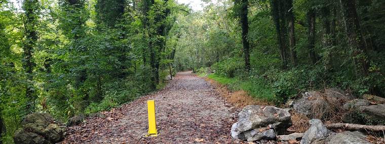 A gravel trail through woodland in a public park